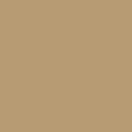 Metal Roofing Color Swatch - Tan